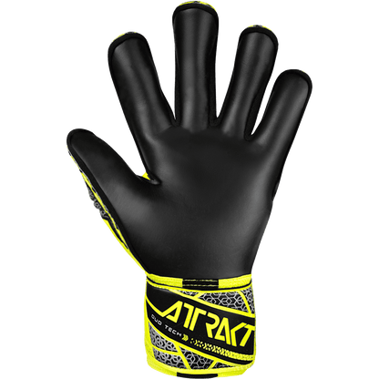 Attrakt Duo Evolution - ReuschSoccer