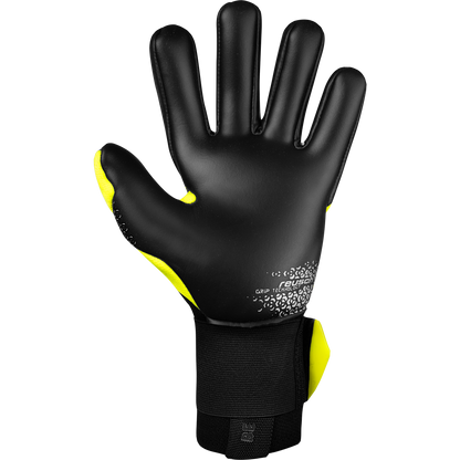 Attrakt Gold X NC Gravity - ReuschSoccer