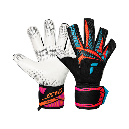 Attrakt Advance Evolution Glueprint