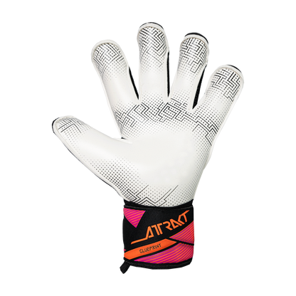 Attrakt Advance Evolution Glueprint