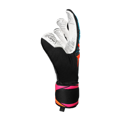 Attrakt Advance Evolution Glueprint