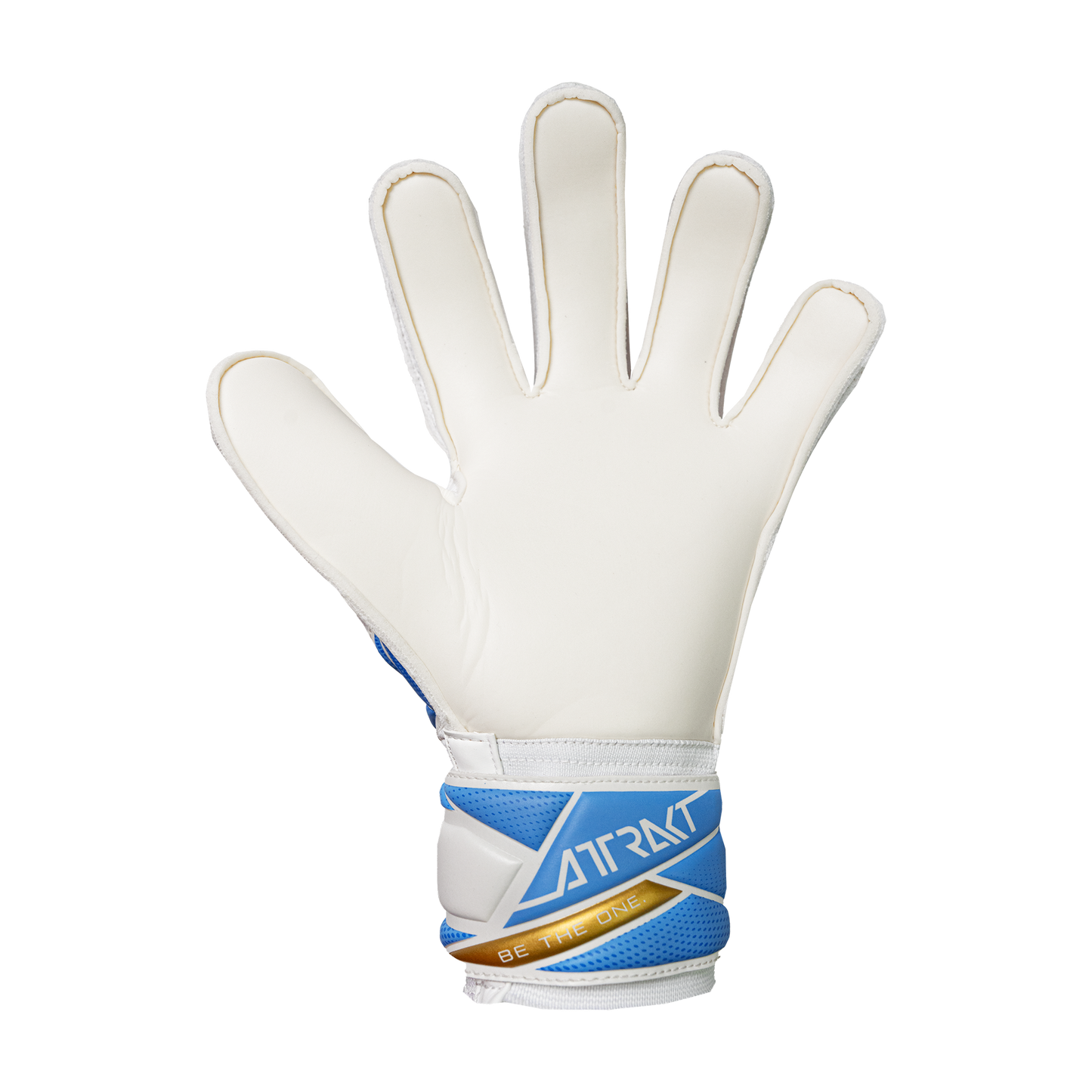 Attrakt Solid Junior Argentina Colors - ReuschSoccer