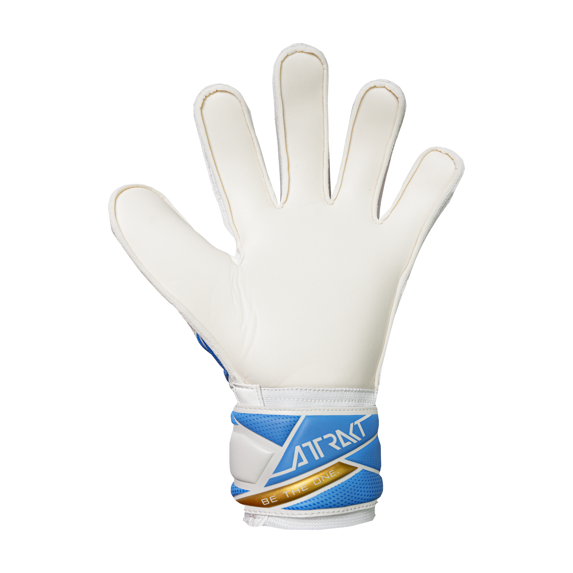 Attrakt Solid Junior Argentina Colors - ReuschSoccer